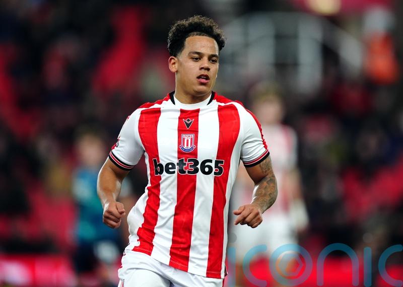 Stoke take big step towards survival with win over Sheffield Wednesday