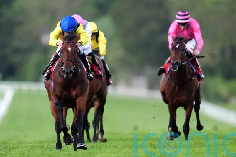 Almaqam returns to the scene of his finest hour so far