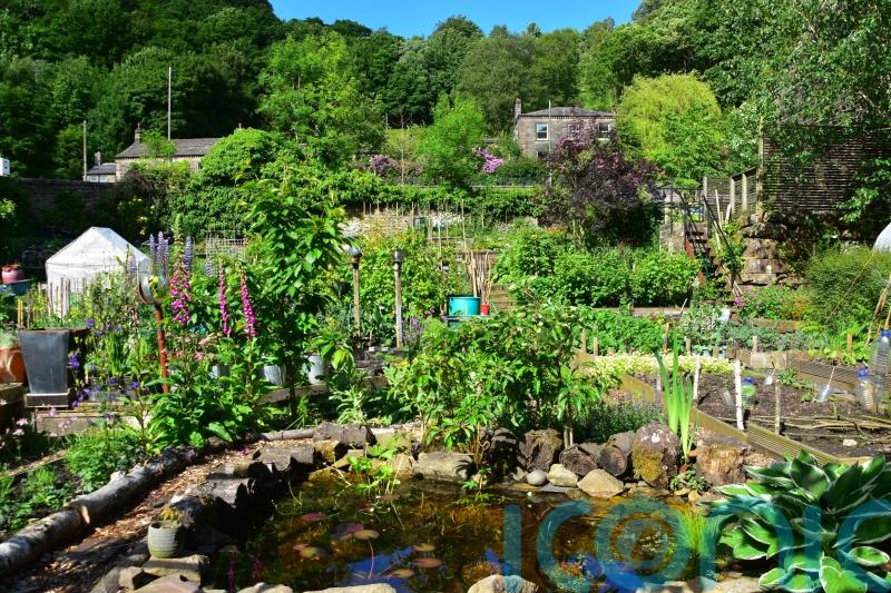 How to make your allotment look pretty