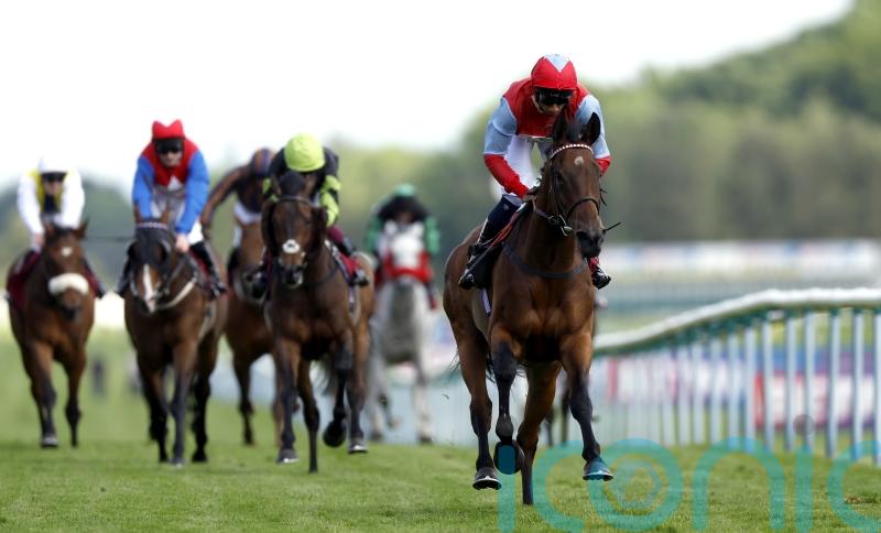 Divine Comedy could scupper Sagaro hat-trick for Coltrane