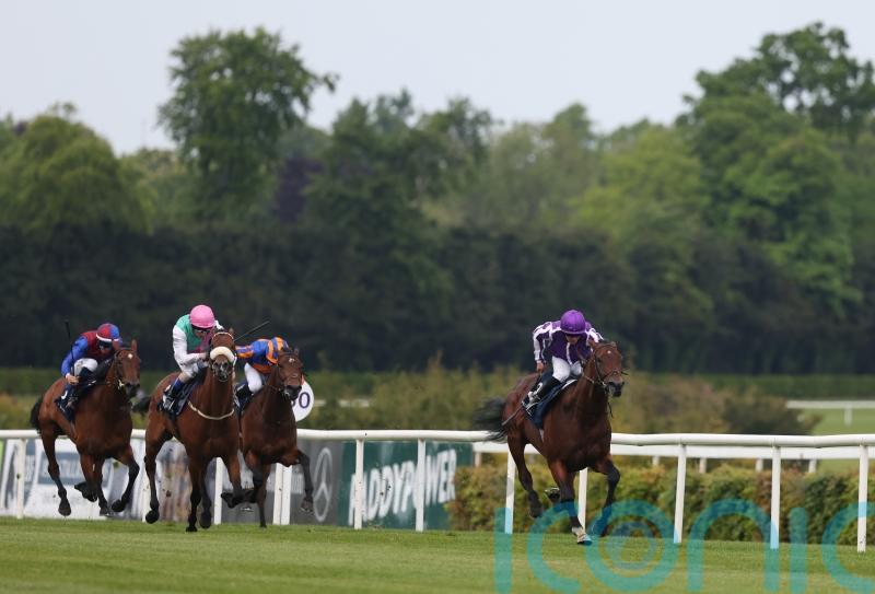 Dermot Weld mulling Derby options for Purview