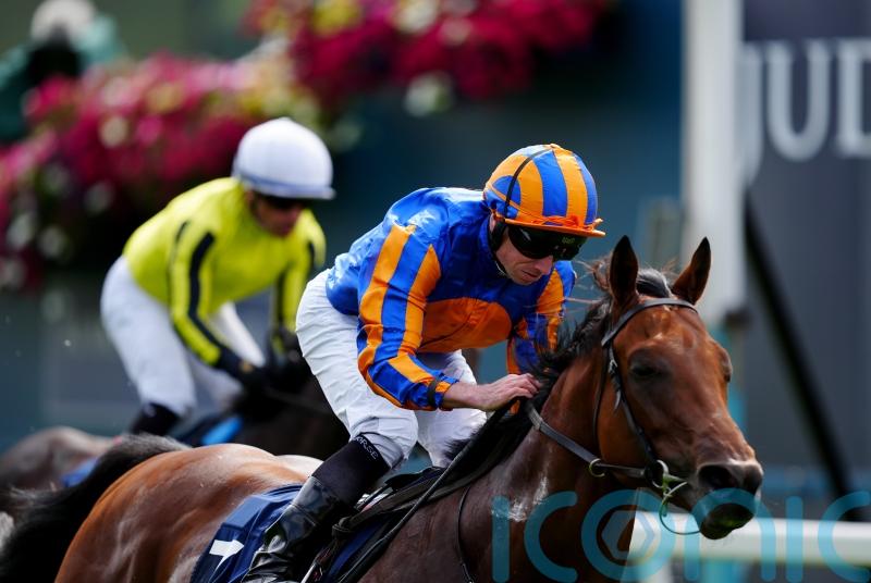 Lion ready to test Derby credentials in Dante outing