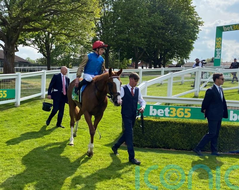 Damysus on course for Epsom following Dante effort