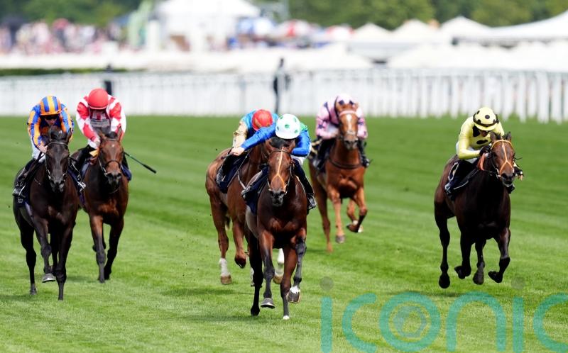 Rashabar team full of confidence for Irish Guineas challenge