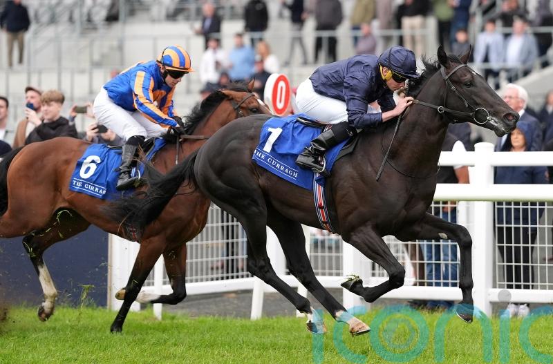 Brussels sprouts wings late on to land Curragh maiden