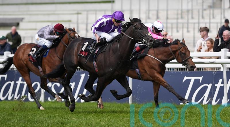 ‘Very special’ Albert Einstein has all the answers at the Curragh
