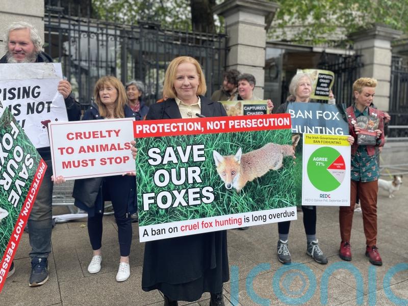Bill banning ‘cruel’ fox hunting in Ireland introduced to Dail