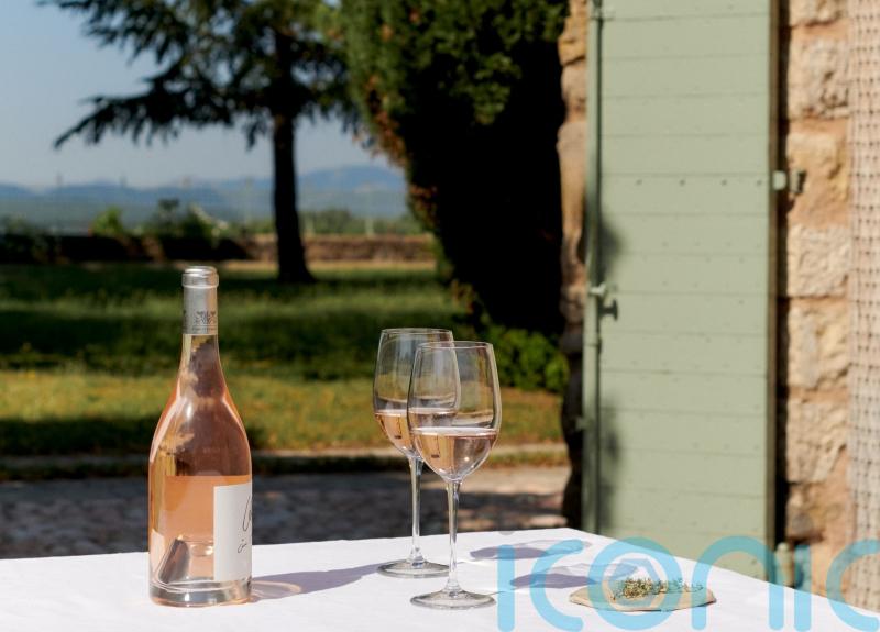 The rise (and rise) of Provençal rosé