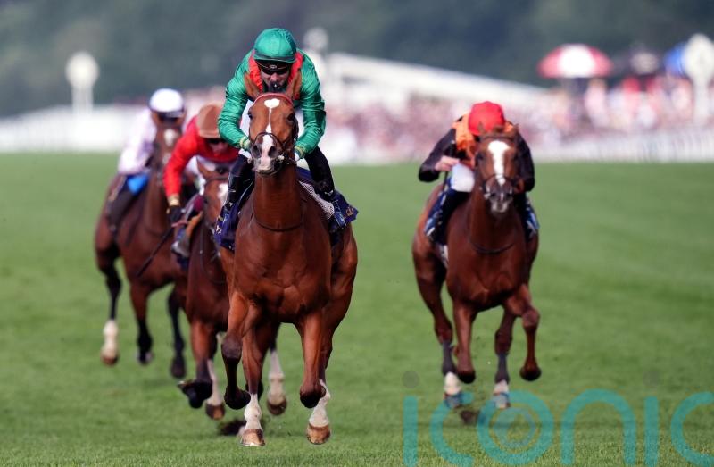 Classy Calandagan chasing Coronation Cup crown