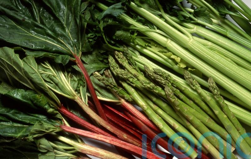 What’s in season in early summer? – and how to cook it