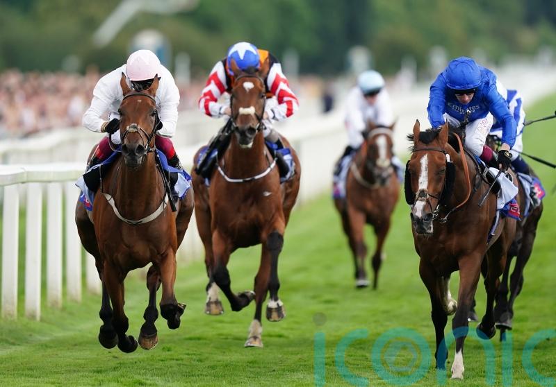 ‘Big run’ expected from Absurde on York return