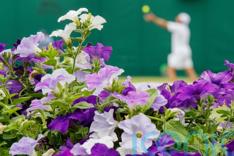 How to get the Wimbledon look in your garden