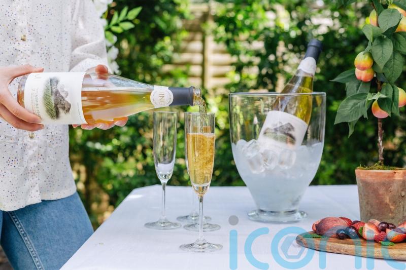 What are sparkling teas and when should you be drinking them?