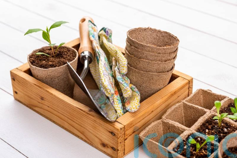 Plastic Free July: 5 easy swaps to reduce plastic in the garden