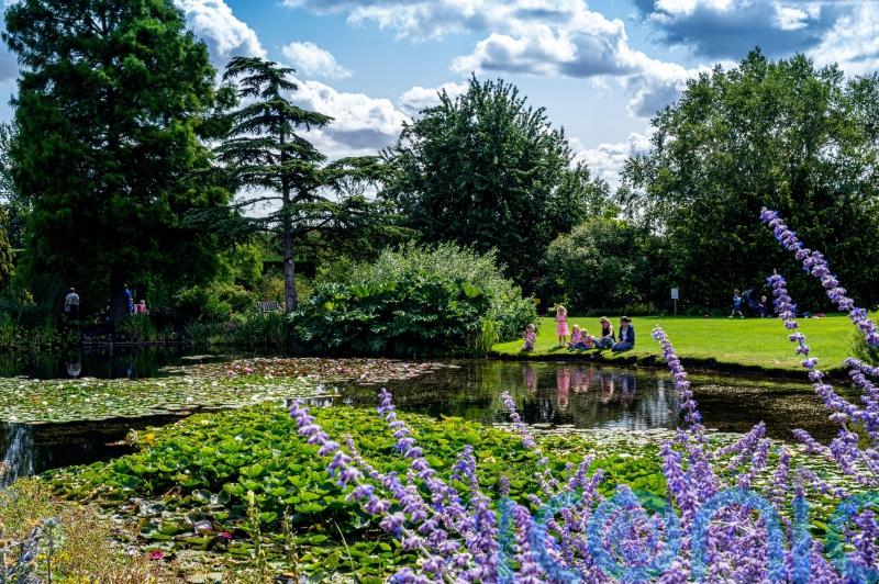 Family-friendly summer gardens to visit