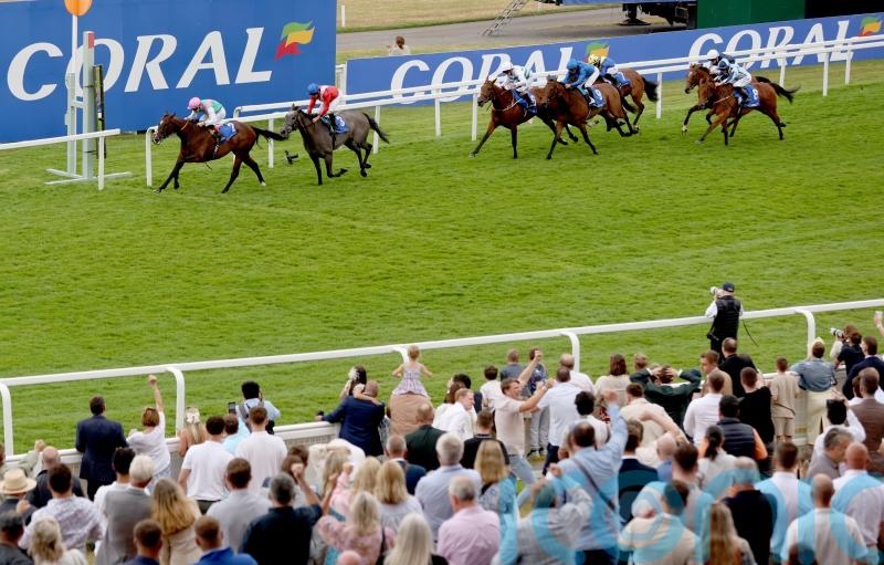 Blue Bolt strikes in Distaff heat