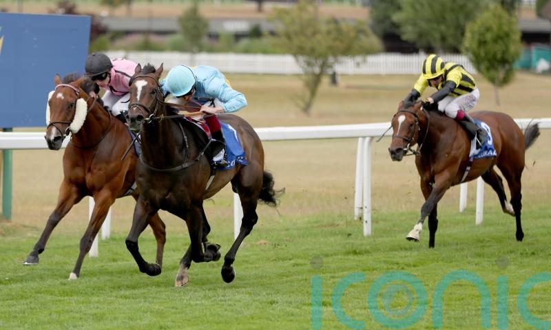 Goodwood and York beckon for She’s Quality