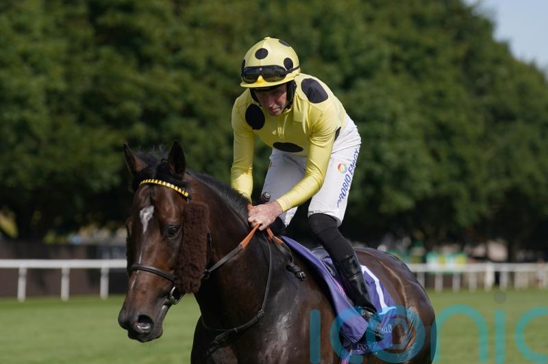 Inisherin fine after Newmarket frustration