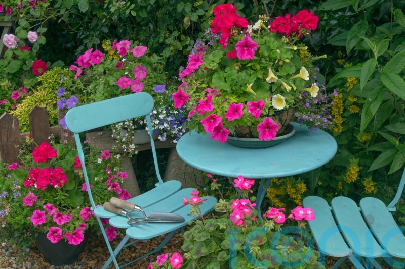 How to save your container plants when you go on holiday