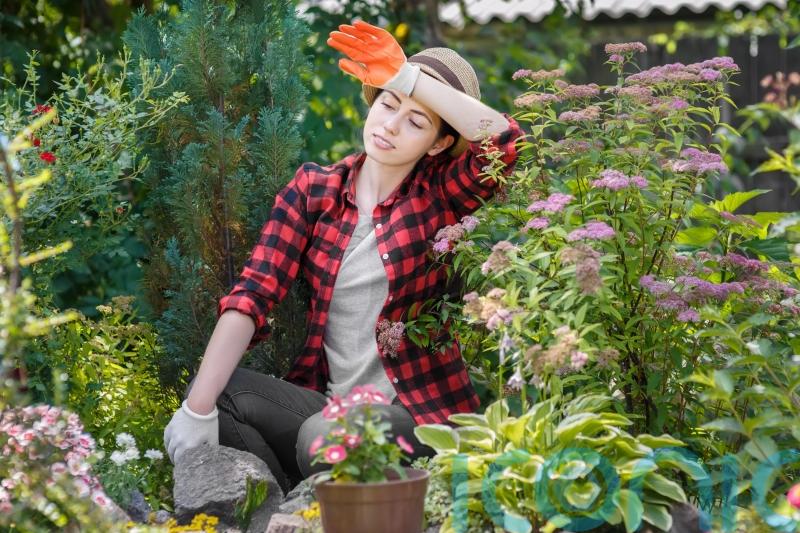 Time-saving tips for the busy gardener
