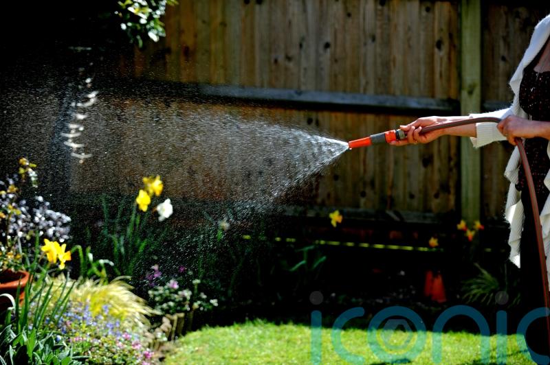 How to keep your garden flourishing during a hosepipe ban
