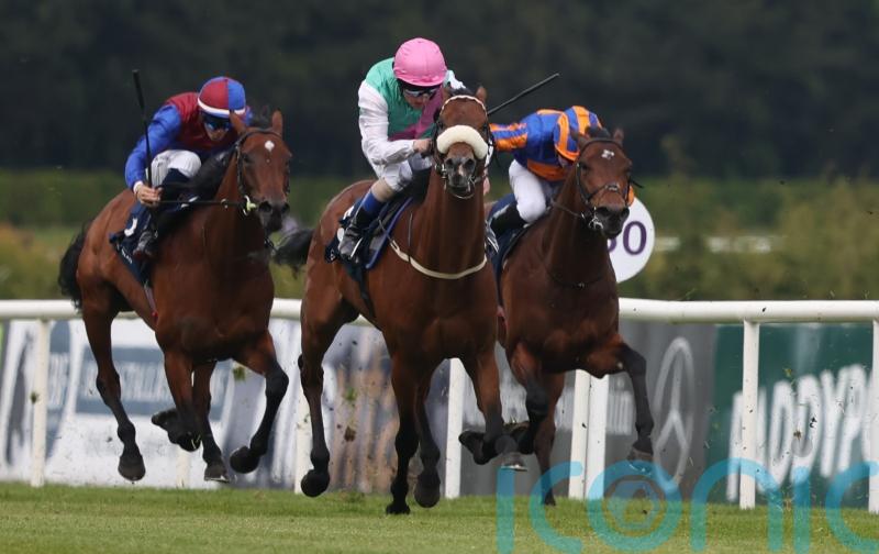 All eyes on Purview in Leopardstown&rsquo;s Meld Stakes