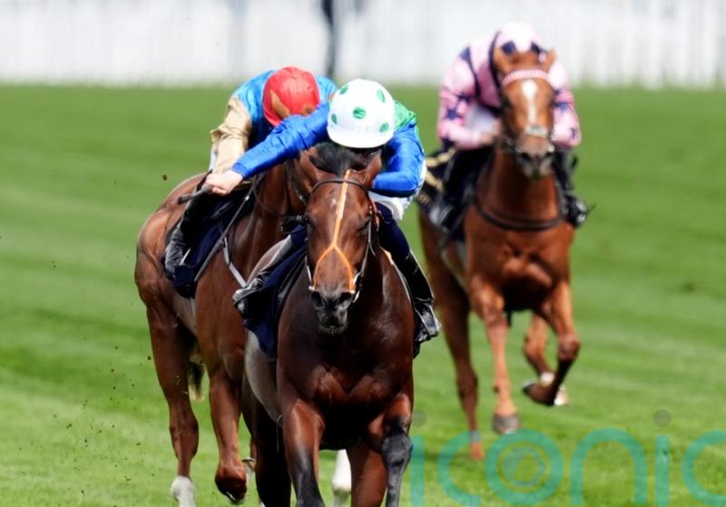 Meehan seeking stamina answers with Steventon contender Rashabar