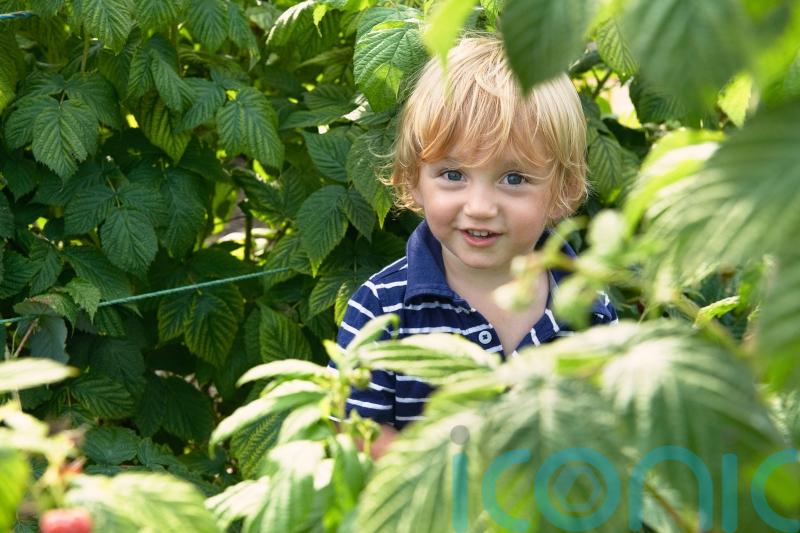 How to turn your kids into garden explorers this summer