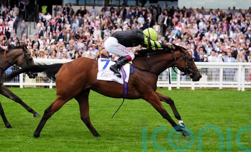 Fitzella fits the bill for Hugo Palmer in Princess Margaret