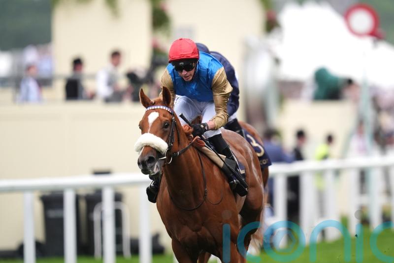 Humidity coming to the boil for hot-looking Vintage Stakes