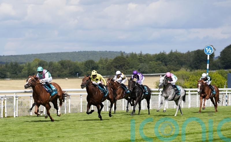 Gosdens lament Field Of Gold’s lacklustre Sussex run