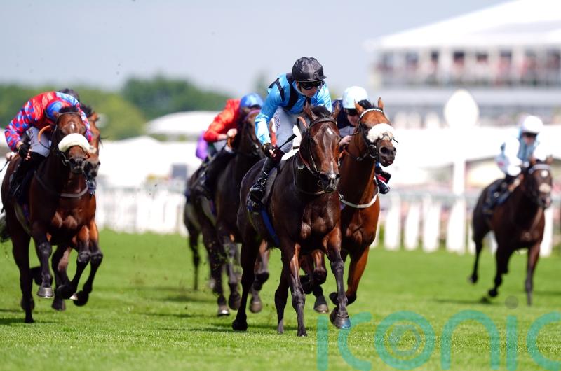 Asfoora carrying plenty of stable confidence for second crack at Goodwood sprint