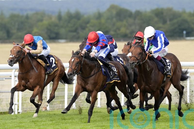 Goodwood Eyecatcher Shaman one to remember