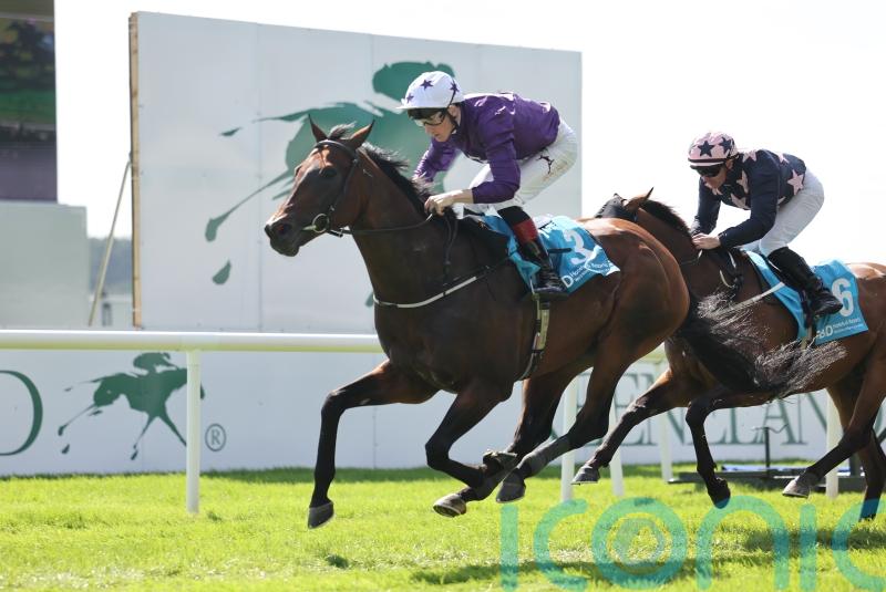 Bucanero Fuerte fends them all off at the Curragh