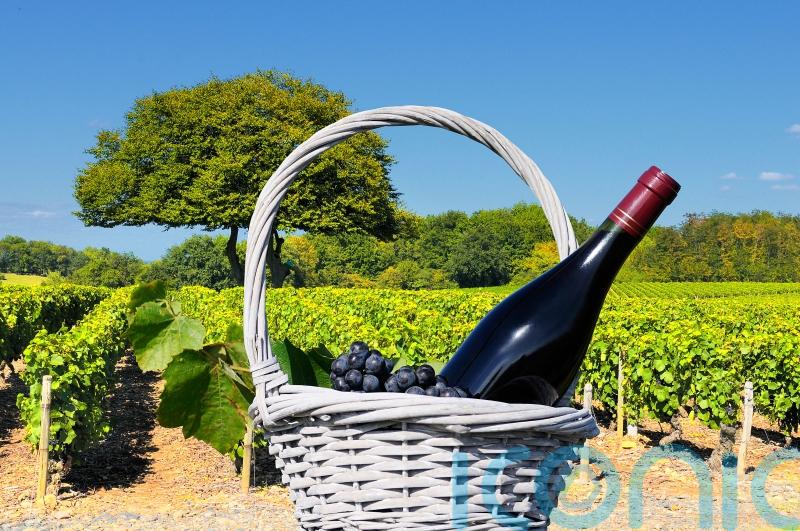 7 French wines from its best-loved regions