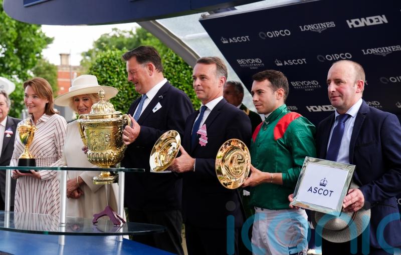Daryz handed International mission at York