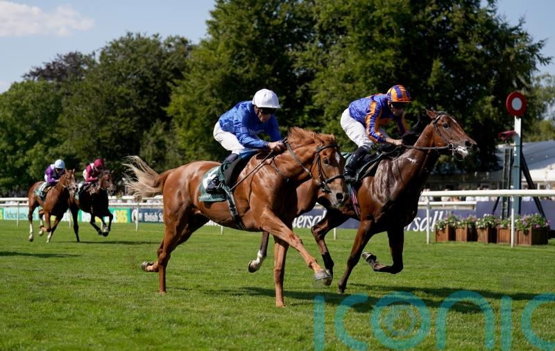 ‘A big player’ – Distant Storm brewing in Acomb Stakes