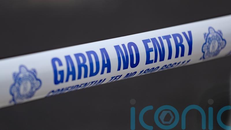 Fiosru launches investigation after man dies following gardai interaction