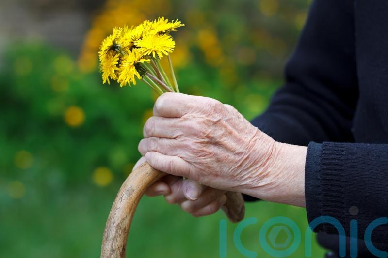 Gardening with arthritis: Tips to ease the pain