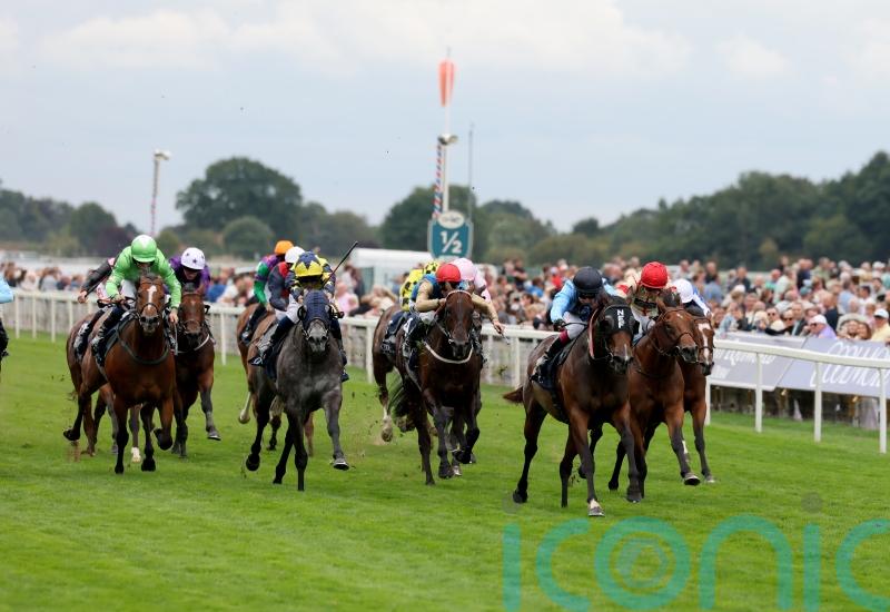 Ain’t Nobody proves 100-1 odds wide of the mark with brave Nunthorpe effort