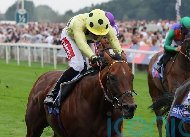 Richard Hannon ‘disappointed’ by Rosallion defeat