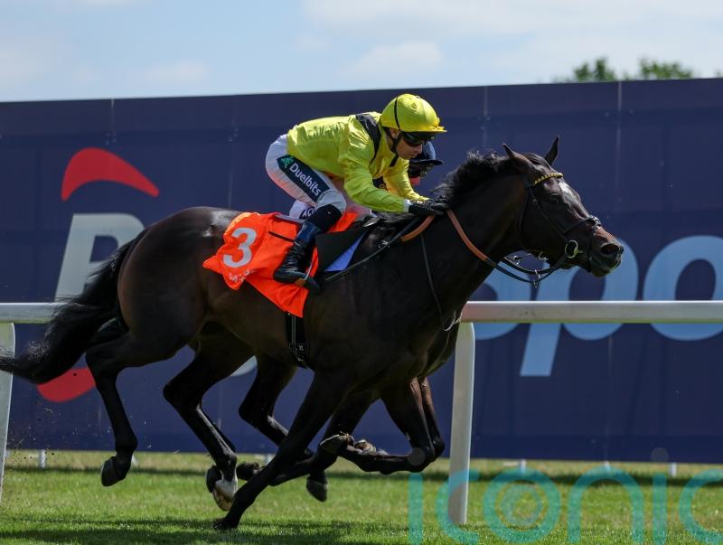 Saddadd returning to the fray at Sandown on Saturday