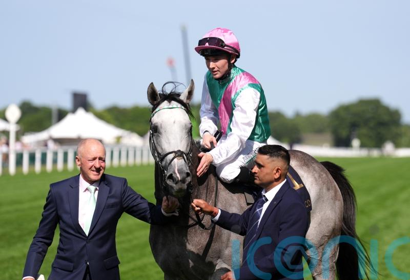 Champions Day the target for Field Of Gold return