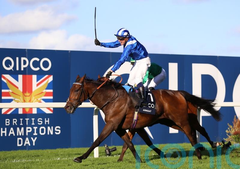 Anmaat team eager to take Irish Champion Stakes chance