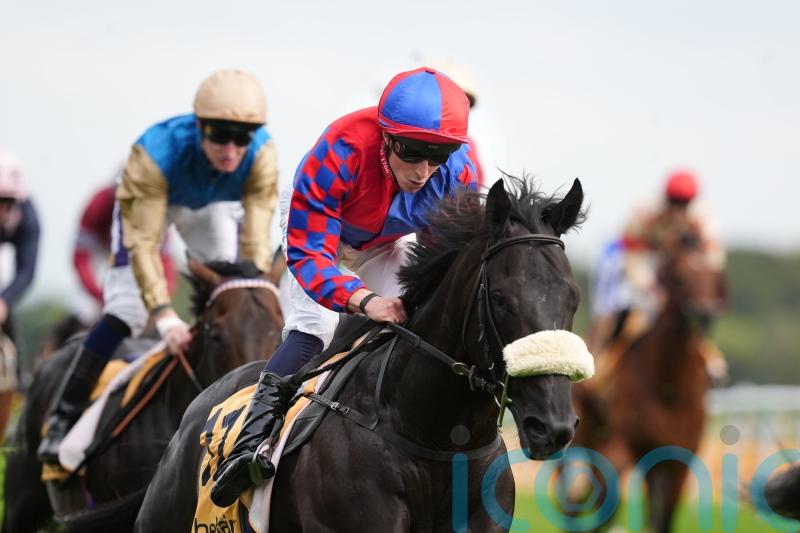 Big Mojo soars to Sprint Cup success