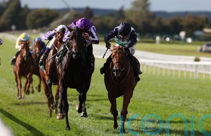 Dewhurst the next stop for National hero Zavateri