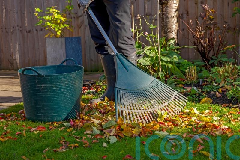 Get ahead with October gardening jobs