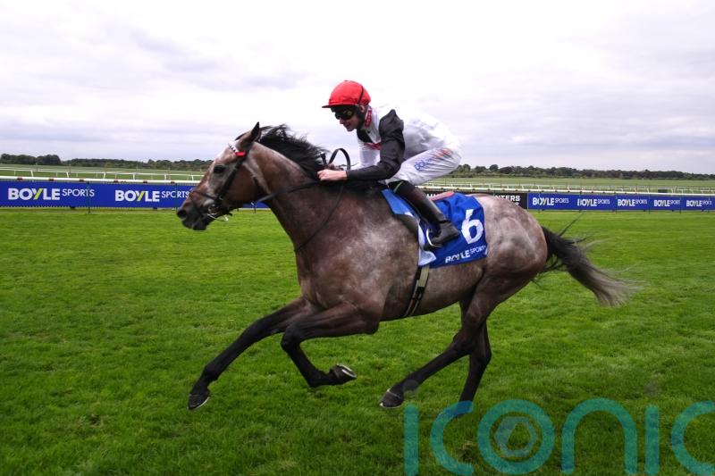 Lion’s Pride produces 20-1 surprise in Godolphin Stakes