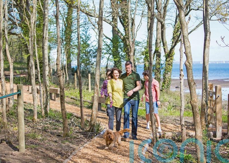 How to book a holiday you and your dog will enjoy