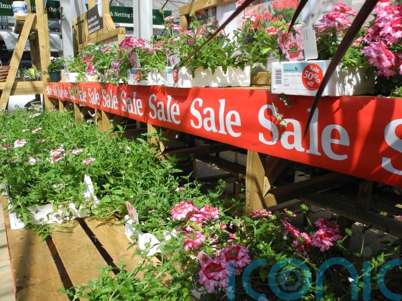Money-saving tips to boost your borders
